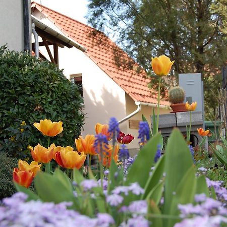 Maya Guesthouse Eger Bagian luar foto