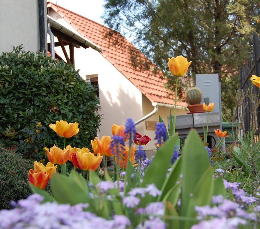 Maya Guesthouse Eger Bagian luar foto